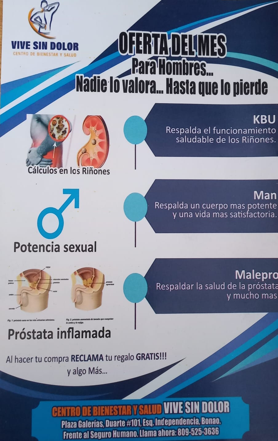 Ejemplo de Catálogos